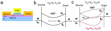 Schematic Representation Of The Device Structure Of Cntfet A The