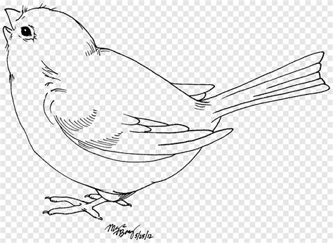 Dibujo De Aves En Blanco Y Negro P Jaros Del Amor Ngulo Blanco Png