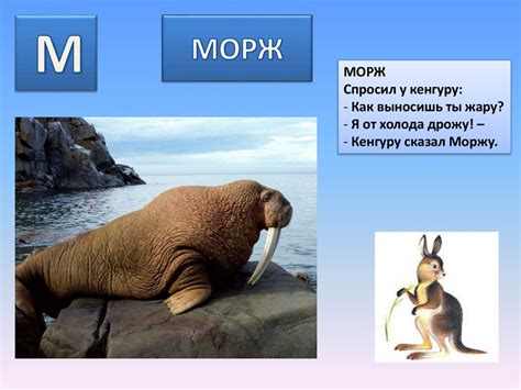Буква М. Учим буквы - презентация онлайн