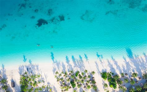 Jak D Ugo Trwa Lot Na Zanzibar Z Polski Rankomat Pl