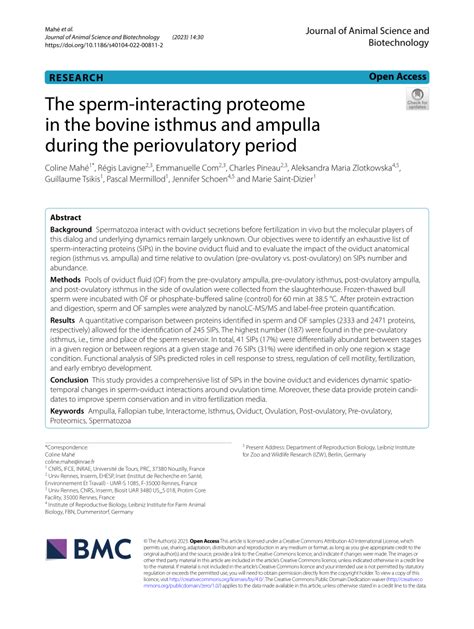 Pdf The Sperm Interacting Proteome In The Bovine Isthmus And Ampulla