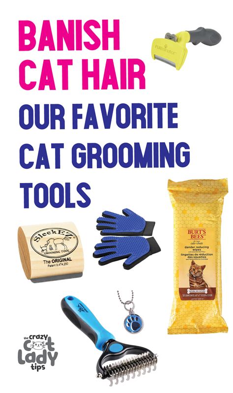 How To Make Kitty All Pretty Cat Grooming 101 Artofit