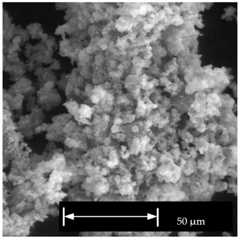 SEM image of catalyst at 2000 × magnification. | Download Scientific ...