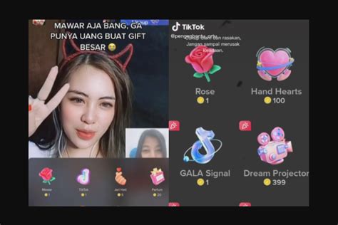 Penjelasan Harga Gift Bunga Di TikTok Terbaru Yang Perlu Kamu Ketahui