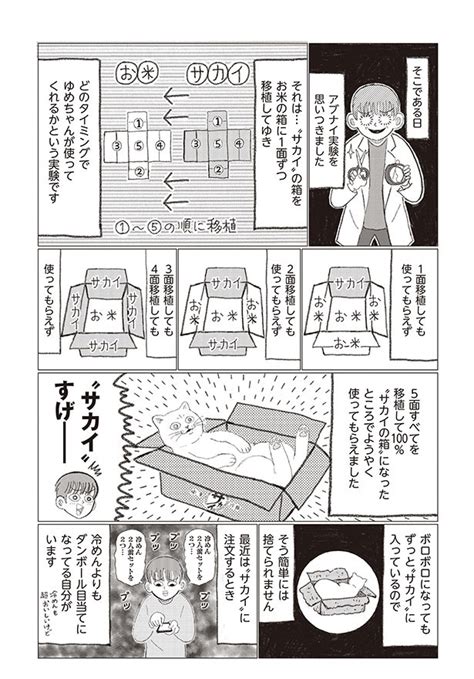 ＜画像5 10＞お気に入りの段ボールを使って“アブナイ実験”失敗をしたゆめちゃんと、僕に課せられた重大な任務／描描猫猫 猫アレルギーだ