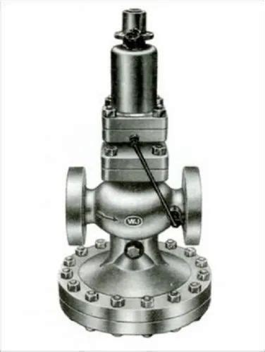 Boiler Mounting Valves And Fittings Wj Cast Iron Horizontol Check Valve Wholesaler From New Delhi