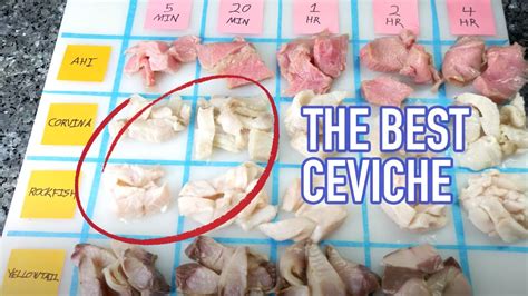 How Long To Marinate Ceviche Experiments And Taste Test Youtube