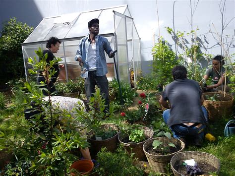 Jardin Solidaire Lunivert Plantations