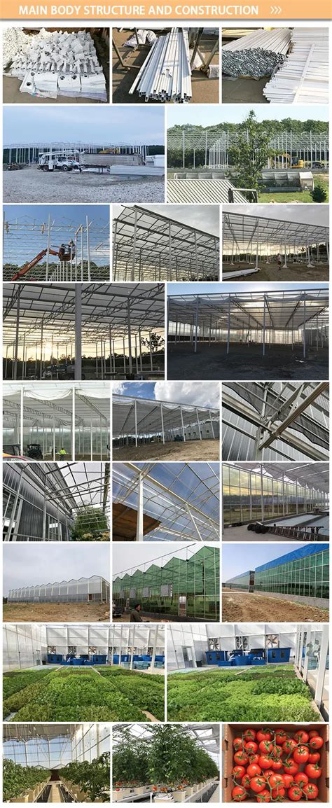 Greenhouse Farming Equipment Multi Span Greenhouse For Agriculture ...