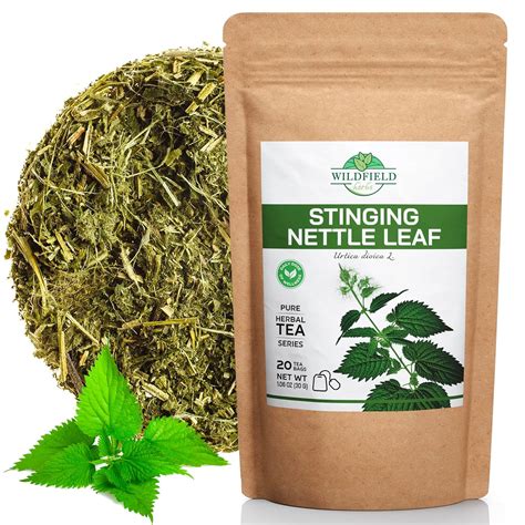 Amazon 20 Bags Dried Nettle Leaf Tea Ortiga Planta Nettle Herb