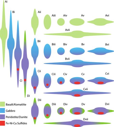 Morphological Continuum Between A Undifferentiated B Noncumulate