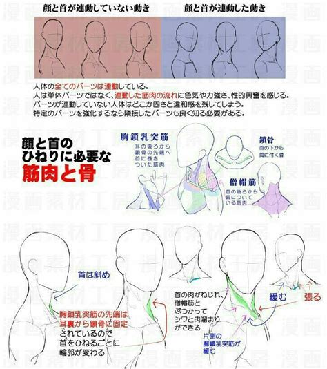 Pin By Cathwulf Q On Bocetos Drawing Tutorial Anatomy Reference