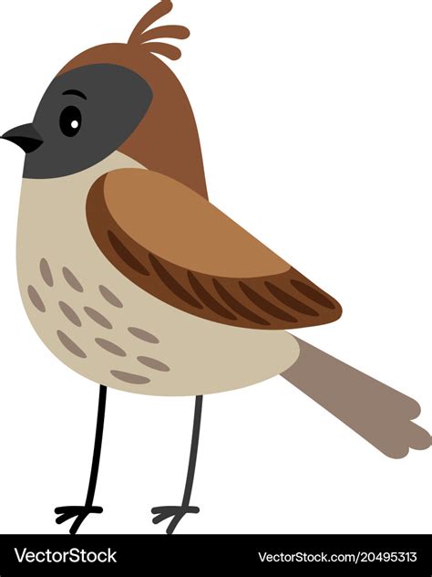 Sparrow Funny Cartoon Bird Royalty Free Vector Image