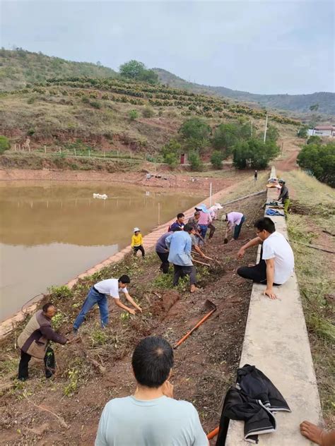 永仁宜就镇强化党建引领推动河湖长制工作走深走实 永仁县人民政府