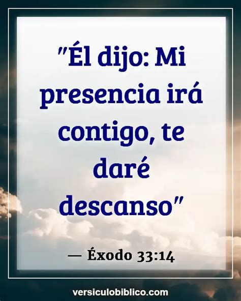 Vers Culos De La Biblia Presencia De Dios