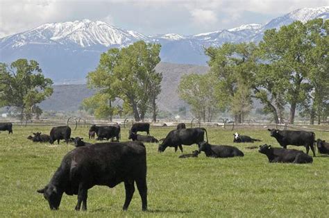 How To Grow Your Coverage Of Agriculture Nevada Press Association