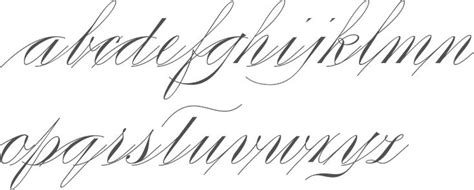 MyFonts: Typefaces with swashes | Hand lettering alphabet fonts, Myfonts, Lettering alphabet