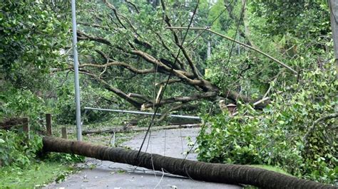 Cyclone Gabrielle Has Caused Devastation In New Zealand Govt Issued