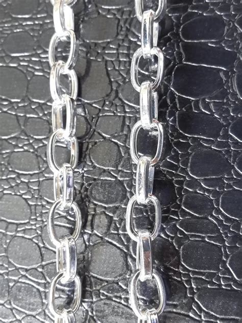 Luxury Silver Bracelet Stock Photo Image Of Elegant 80787948