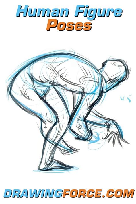 Human Figure Poses | Human figure sketches, Online drawing, Human figure