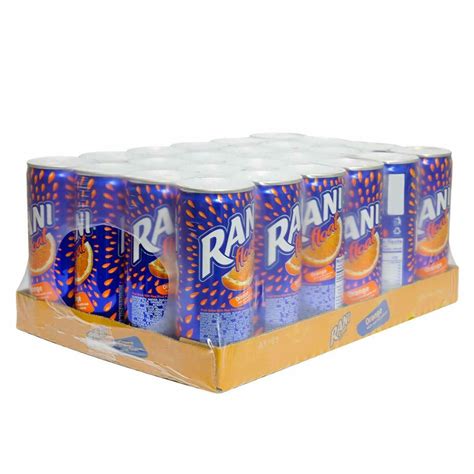 Buy Wholesale Canada Rani Pineapple Fruit Drink Pack Of 24 8oz Cans