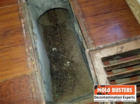 Mold In Air Vents How To Deal With Dangerous Enemy Moldbusters