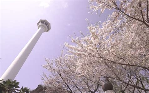 Busan Tower Observatory Ticket (DISCOUNT) | KoreaTravelEasy