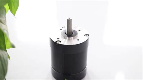 Bls Motore Brushless Dc V Motore Bldc Rpm Motore Bldc Buy