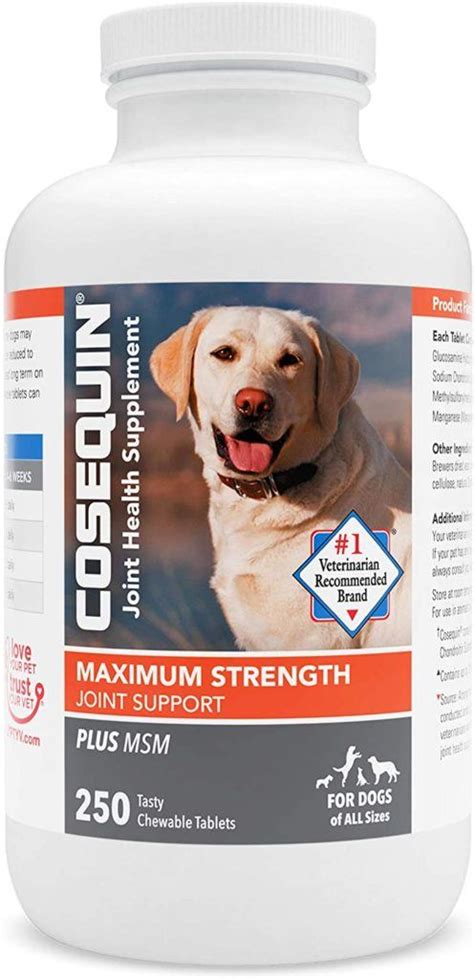 Dasuquin vs Cosequin: Vet-Reviewed Differences | Pet Keen