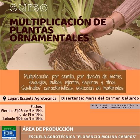 Capacitaci N Curso De Multiplicaci N De Plantas Ornamentales Desde