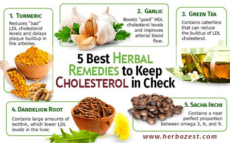 5 Best Herbal Remedies To Keep Cholesterol In Check Herbalism Herbal