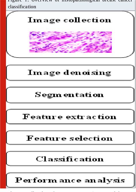 Figure From A Systematic Survey On Automatic Classification Of Breast