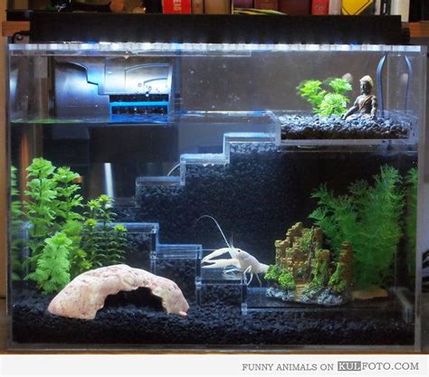 17 Best images about Aquarium Set Up Ideas on Pinterest | Fish tank ...