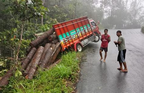 Tak Kuat Menanjak Truk Bermuatan Kayu Pinus Terperosok Di Perbukitan