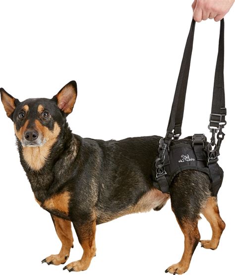 Handicappedpets Rear Lift Dog Harness Small