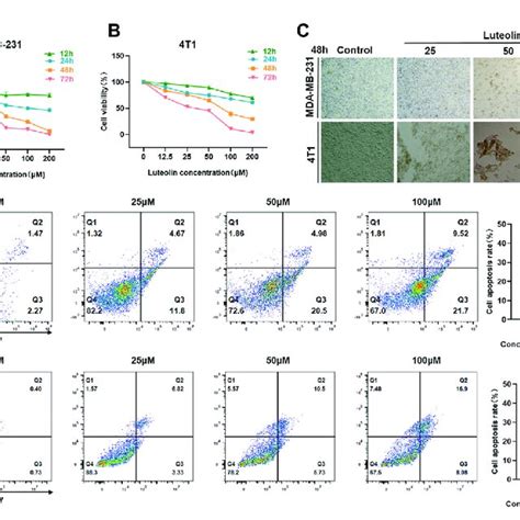 Luteolin Inhibited Triple Negative Breast Cancer Cell Viability And