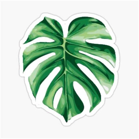 Pegatinas Palm Leaf Watercolor Stickers Nature Stickers Monstera