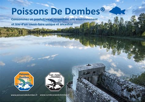 Affiche Au Coeur De La Dombes Poissons De Dombes