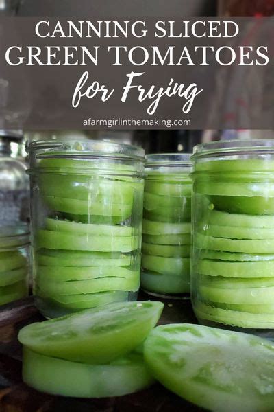 Preserving Canning And Dehydrating Artofit