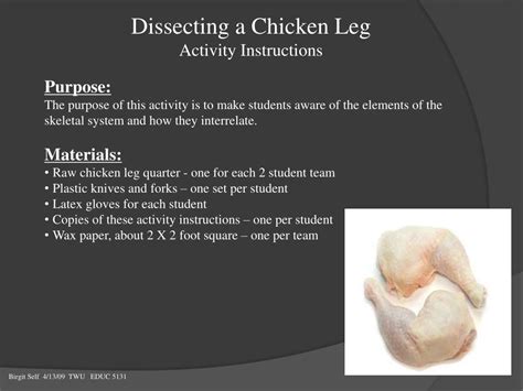 Ppt Dissecting A Chicken Leg Powerpoint Presentation Free Download