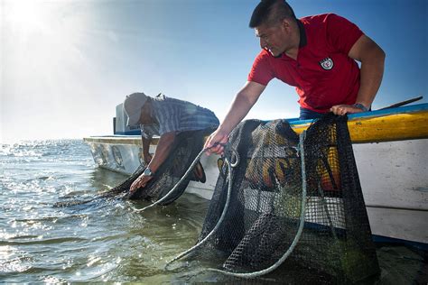 D A De Las Y Los Pescadores Ecuatorianos Guardianes De Los Mares Wwf