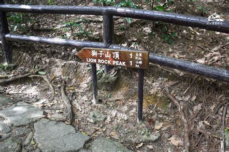 獅子山行山路線｜慈沙古道往獅身睇日落 城市與大自然融合美景 山全部都係山