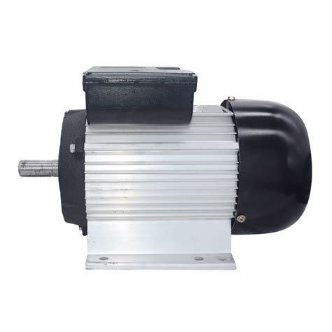 Single Phase Asynchronous Electric Motor Ycyl Series Motor China