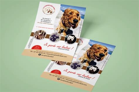 Exemples De Flyers Professionnels Cr Ation Logo