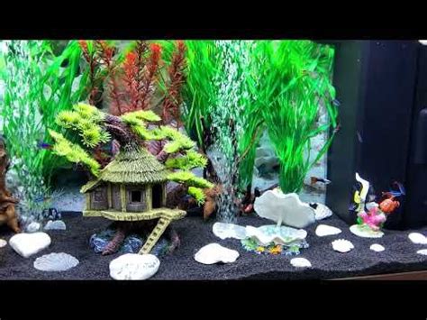 Juwel Aquarium Rio 180L Lepistes Guppy Platy Neon Panda