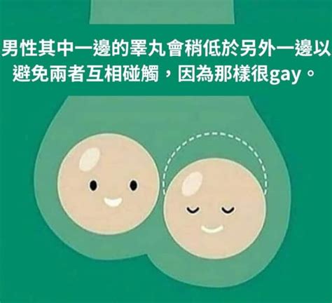 轉發 這樣很 gay 梗圖板 Dcard