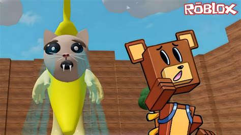 Baaren Escapou Do Gatinho No Escape Do Banana Cat Obby Roblox Youtube