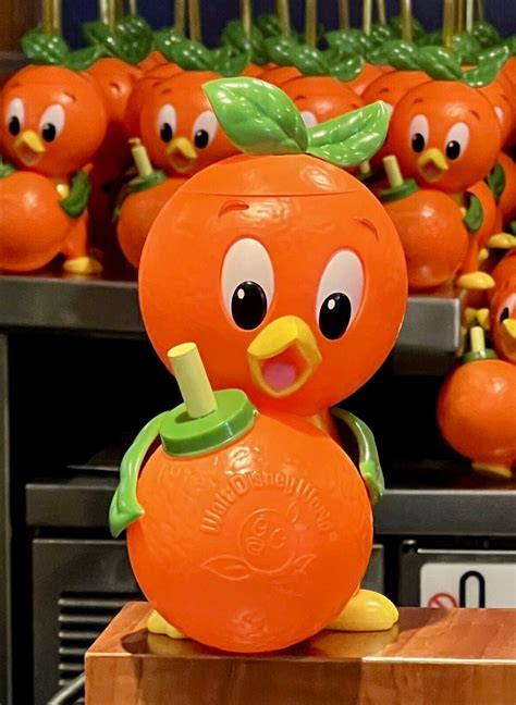 Disney Parks Epcot Flower Garden Festival Orange Bird Sipper Cup