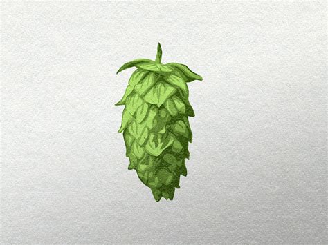 Hop Vector Illustration By Jordan Blahnik On Dribbble