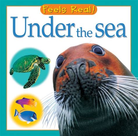 27 Amazing Ocean Animal Books For Preschoolers